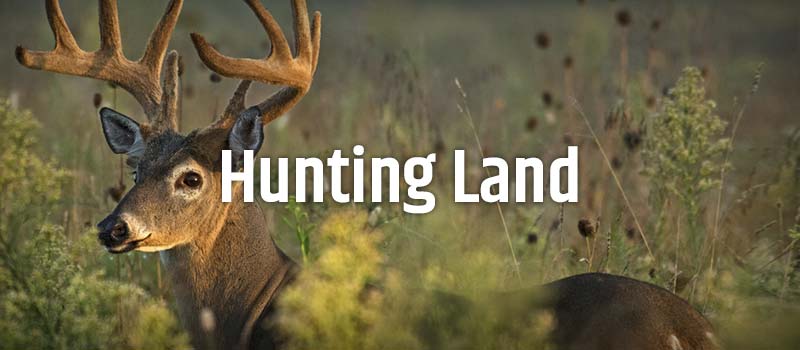 Hunt & Farm Realty, LLC Hunting Land
