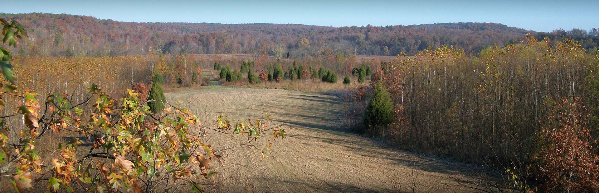 Contact Hunt & Farm Realty LLC Contact Hunt & Farm Realty LLC