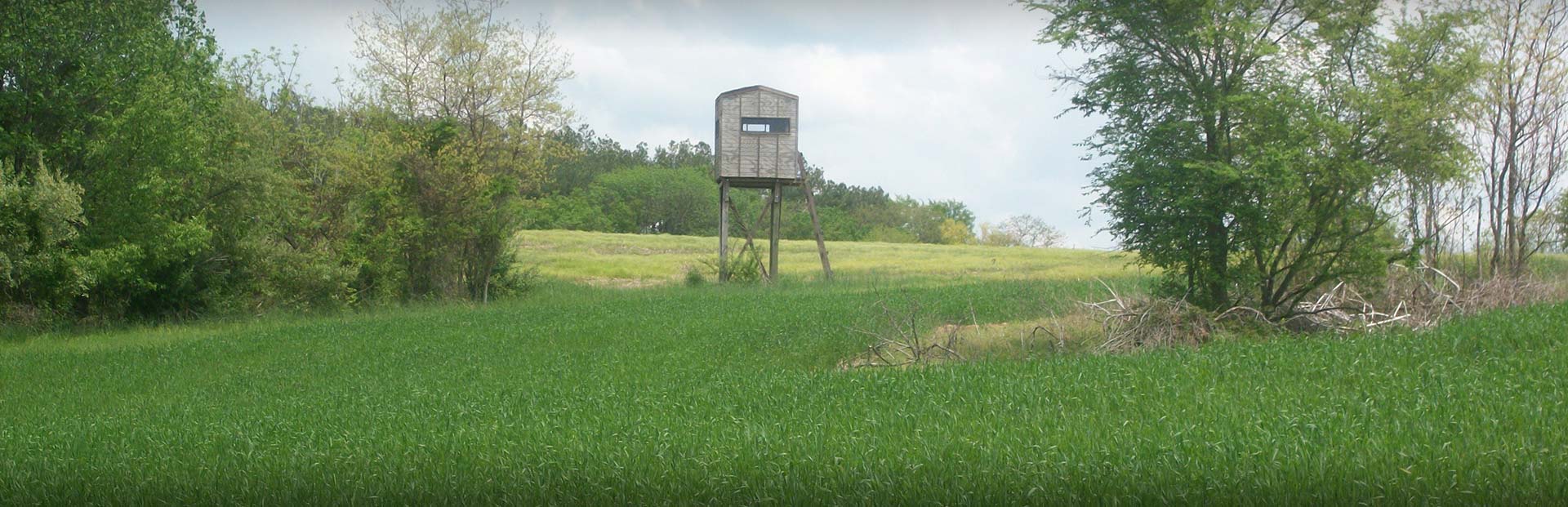 Southern Illinois Real Estate For Sale