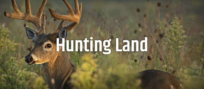 Hunting Land