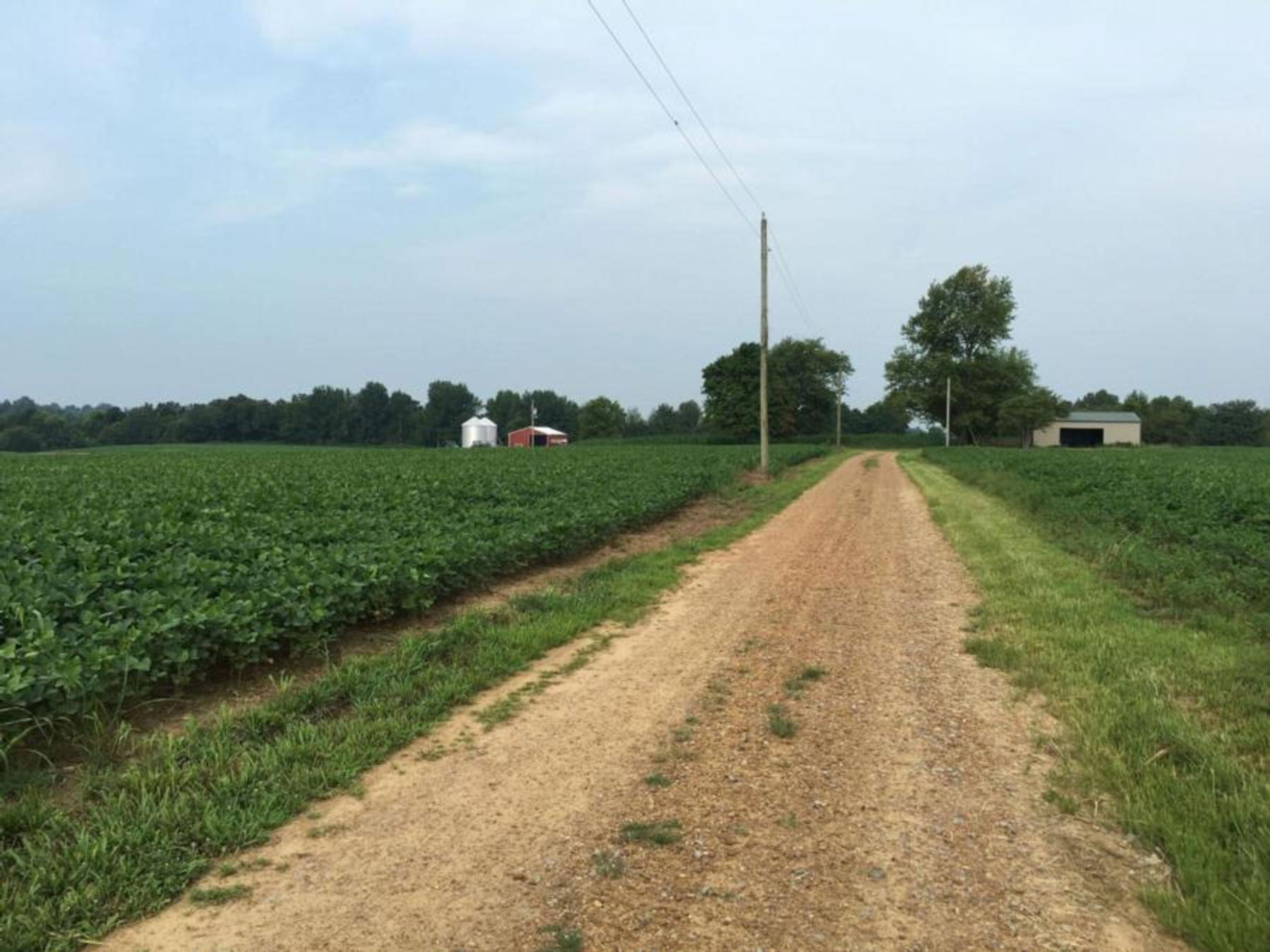 218.944 Acres For Sale in Pope County Illinois Pope Illinois Real Estate