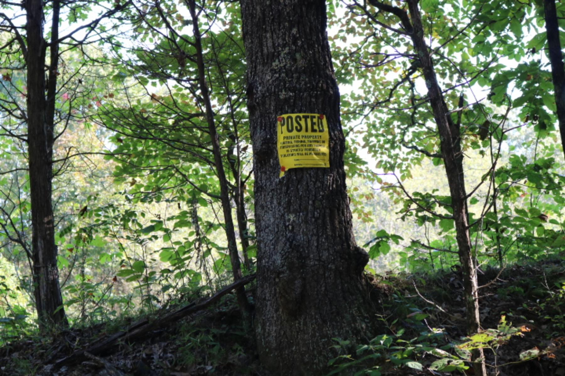 306 Acres Pope County Illinois Pope IL Real Estate