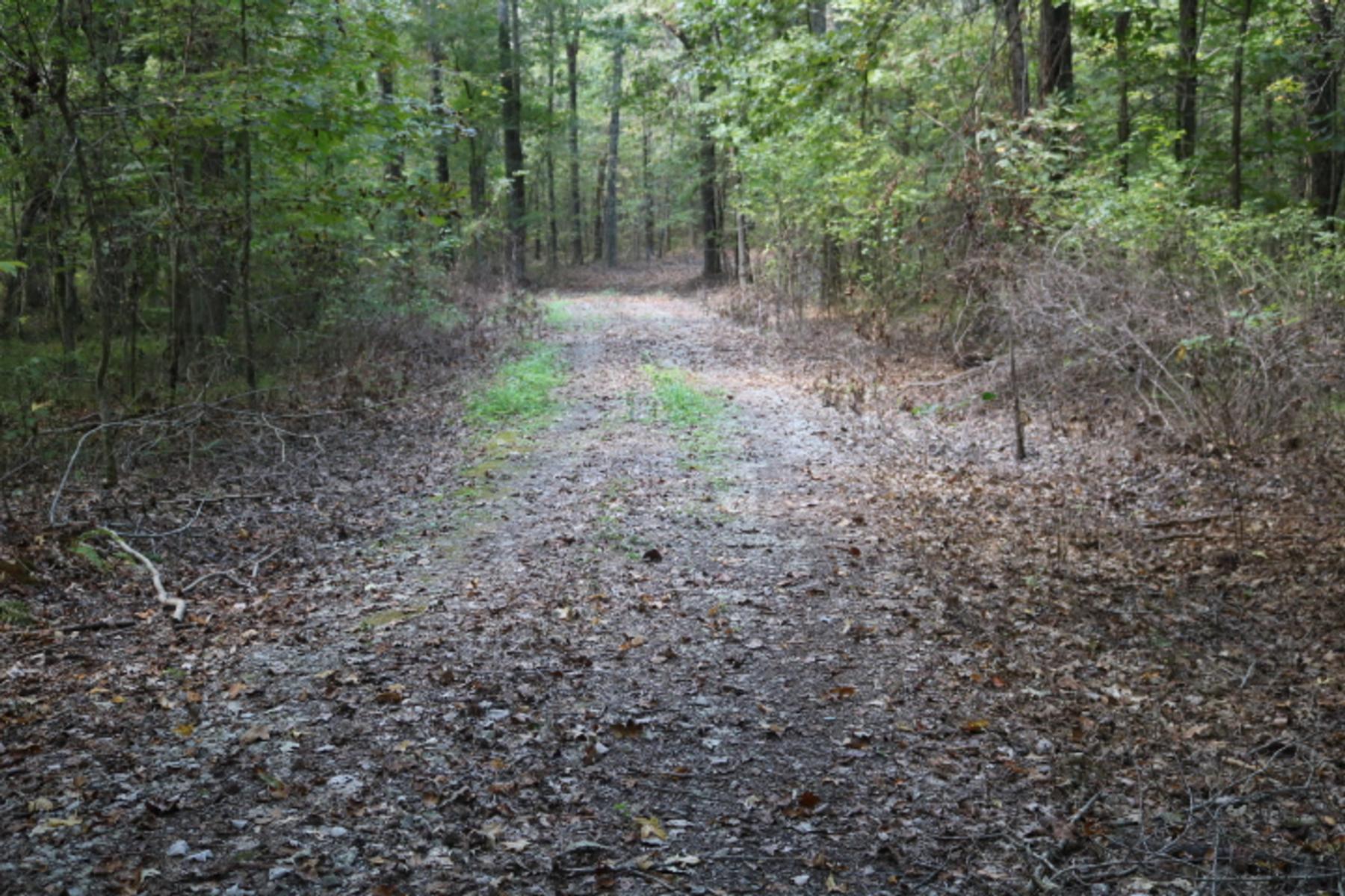 80 Acres For Sale Pope County Illinois Pope IL Real Estate