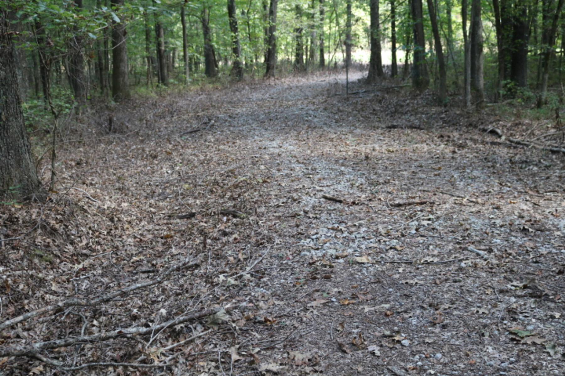 80 Acres For Sale Pope County Illinois Pope IL Real Estate