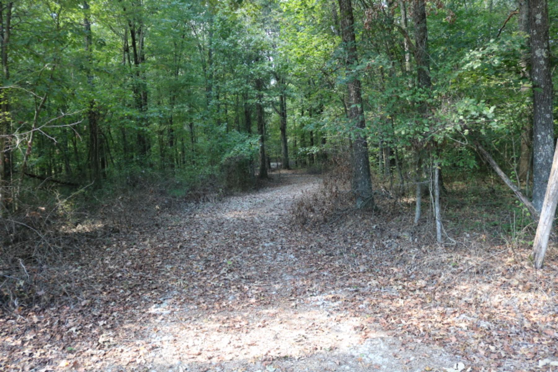 80 Acres For Sale Pope County Illinois Pope IL Real Estate