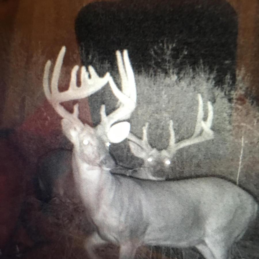 120 Acres For Sale Pope County Pope IL Real Estate