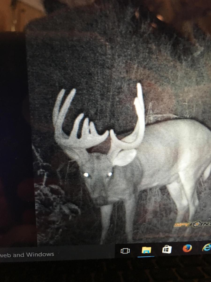 120 Acres For Sale Pope County Pope IL Real Estate