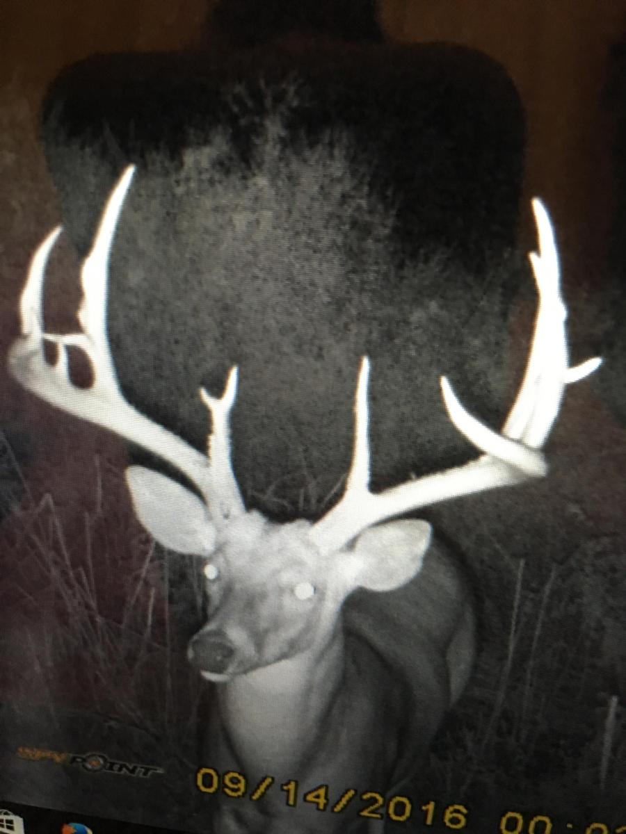 120 Acres For Sale Pope County Pope IL Real Estate