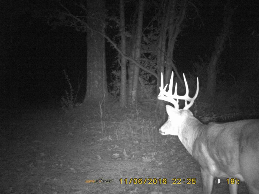 120 Acres For Sale Pope County Pope IL Real Estate