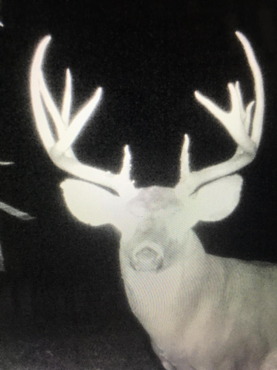 Southern Illinois Real Estate For Sale Hunt & Farm Realty