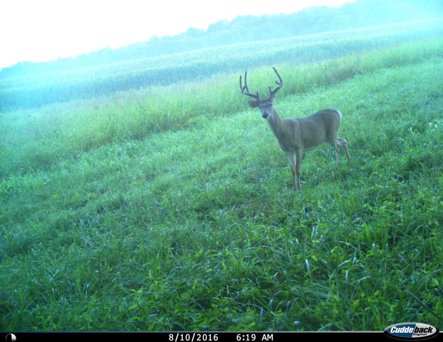 284 Acres For Sale Johnson County Johnson IL Real Estate