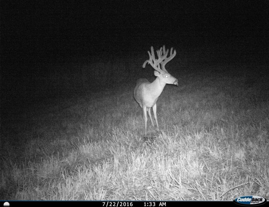 284 Acres For Sale Johnson County Johnson IL Real Estate