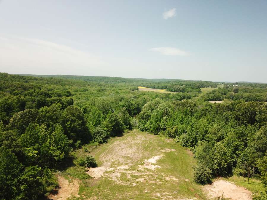15 Acres +/- Gallatin County, Illinois -Woods, Open Area