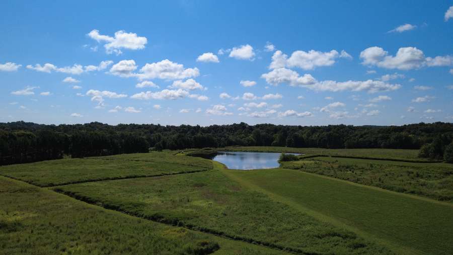 24-Acre Recreational Retreat on Henry Hicks Road