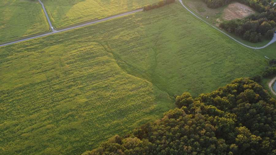 30 acres in heart of Pope Co IL