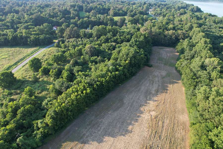 Hunting ground in IL & KY