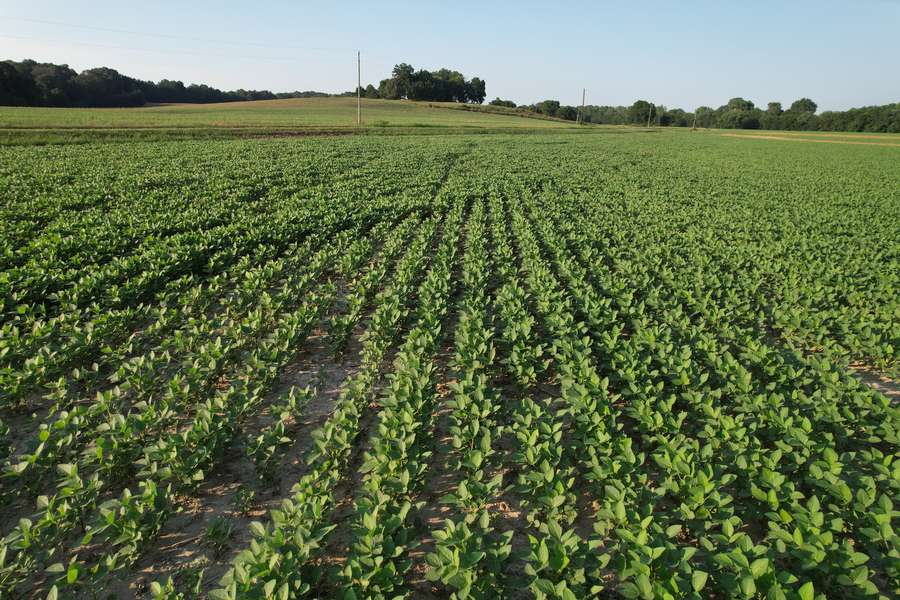 Crop Ground near Ohio River