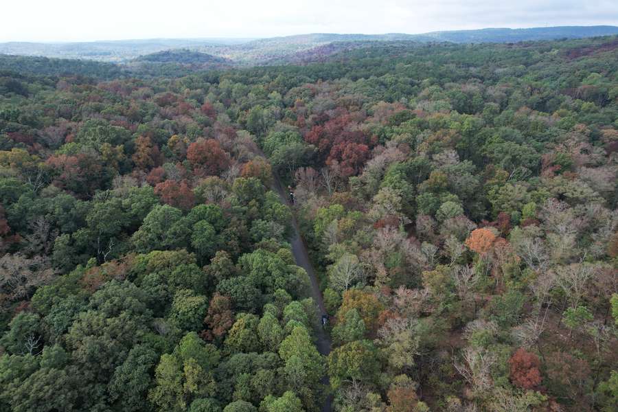 Land Surrounded by Shawnee Forest