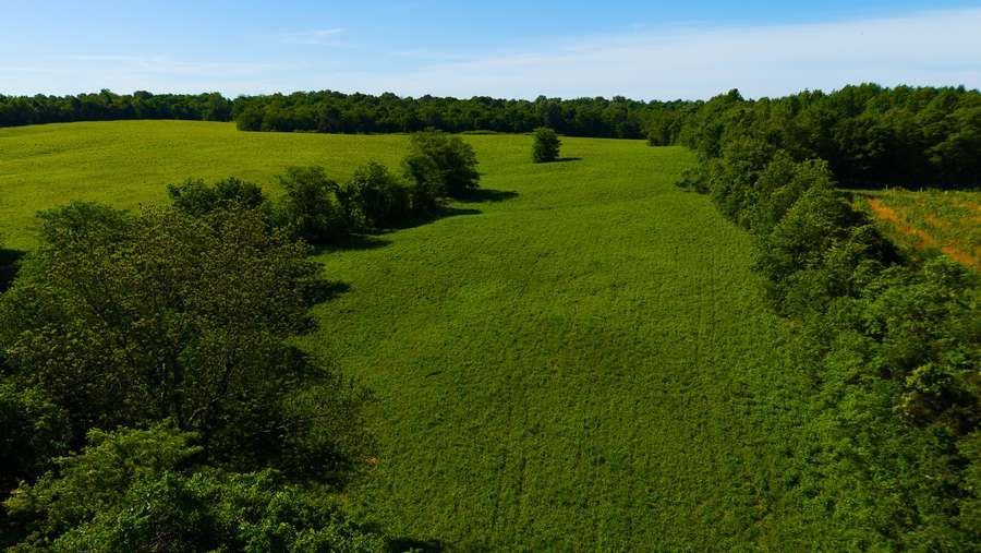 DJI_20260430093811_0205_D.jpg
