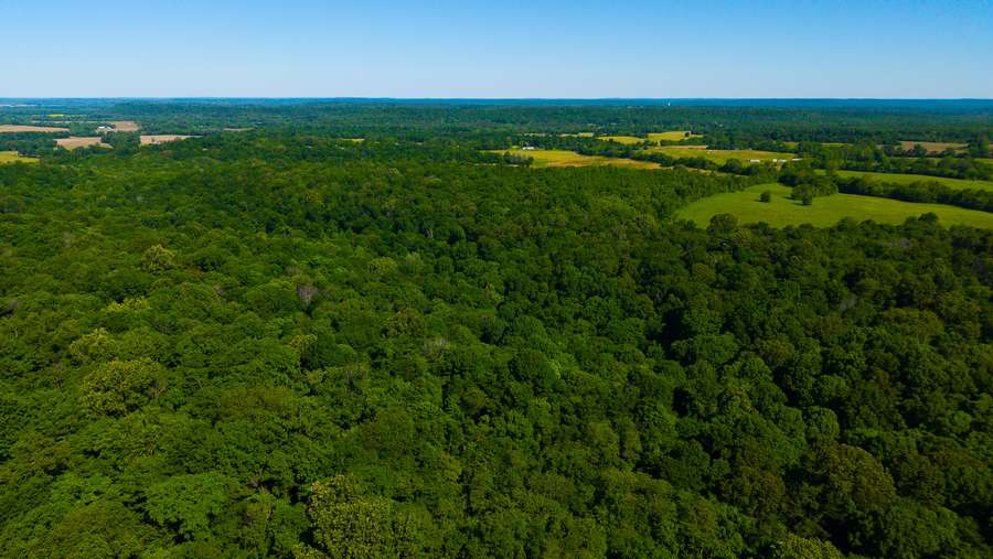 DJI_20260430095639_0221_D.jpg