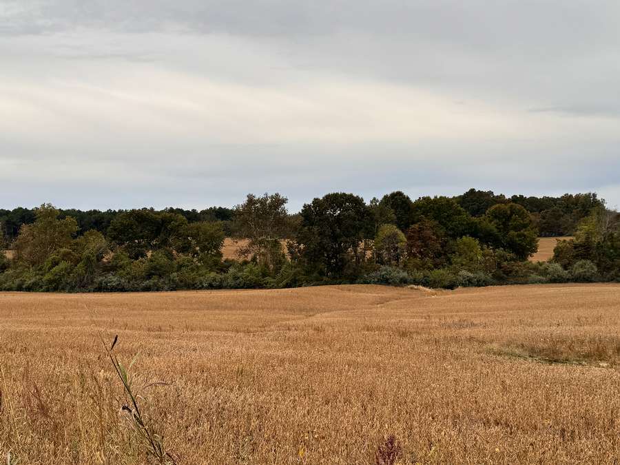 Farmland & Recreational Land Near Shawnee Forest