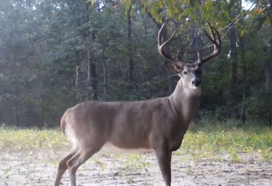 725 acre Hunter's Paradise