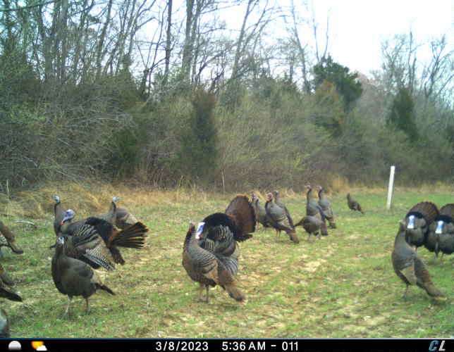 Hunters This 42 Acres is Ready For You