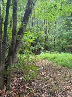 IMG_2285.jpeg