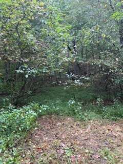 IMG_2287.jpeg