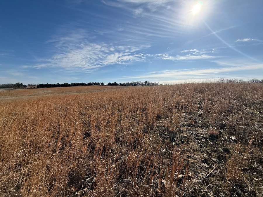 28 Acres +/- Country Convenience Hobby Farm