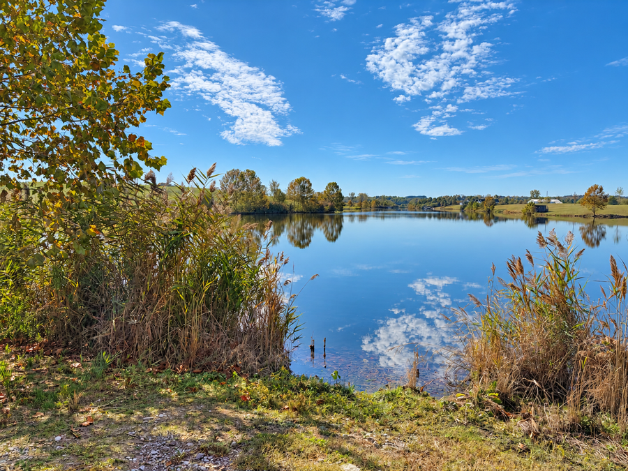 Beautiful Lakefront Lot