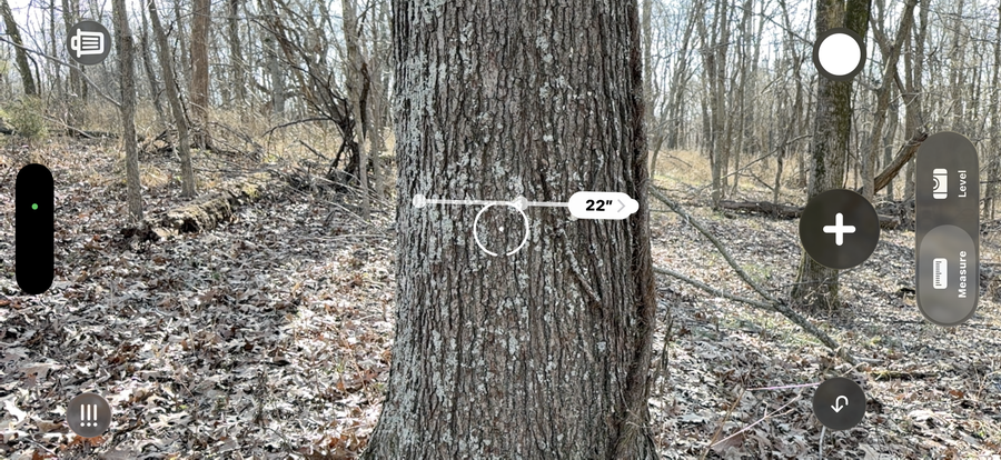 145 Acres +/- Woods, Open CRP Income, Pope County, Illinois