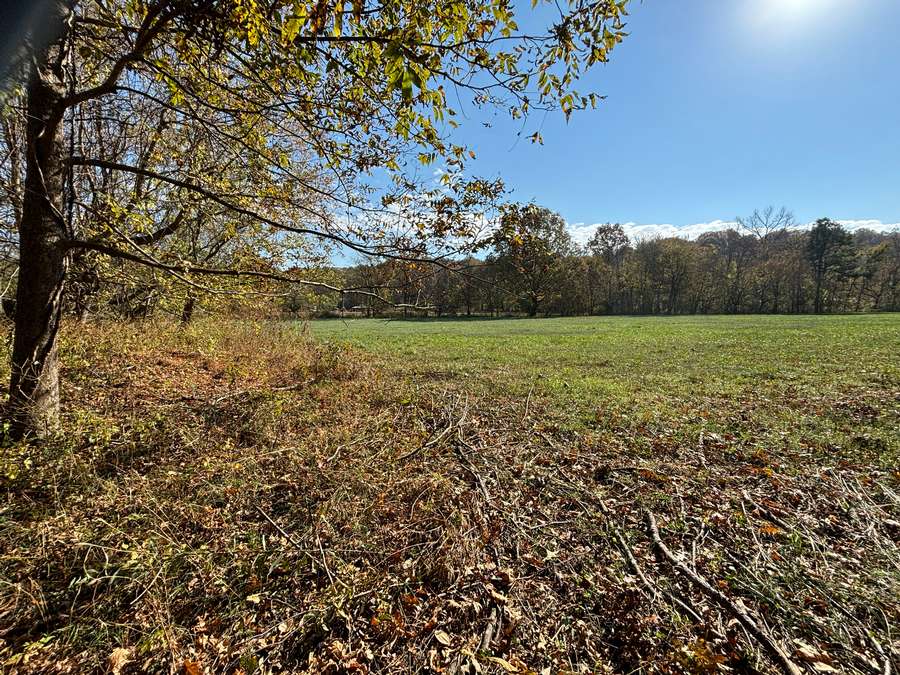 3.3 Acres Perfect for Camper, Tiny Home or Mobile Home - No Restrictions
