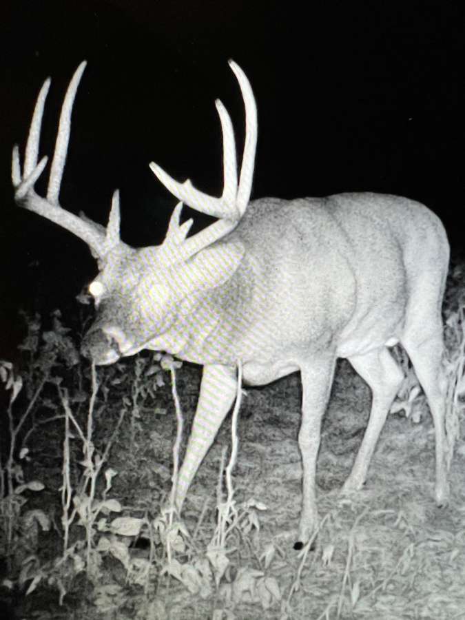 265 acres Crop & Hunting Farm