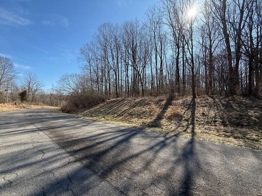 Wooded 10 Acres +/- Pope County, Illinois