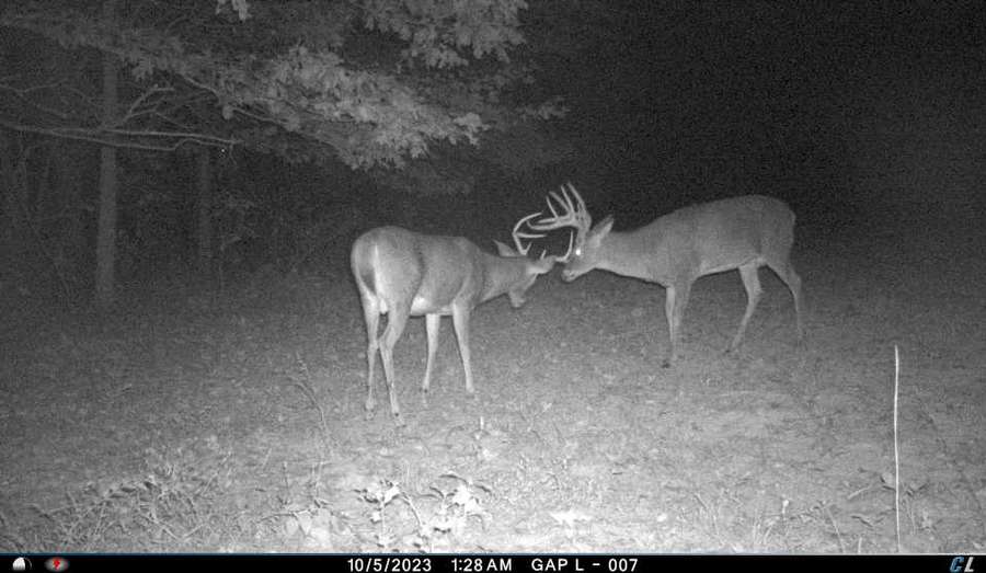 75 acre Turn-Key Hunting Ground