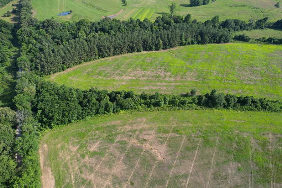 dji_fly_20260605_171538_39_1780698828972_photo.jpg
