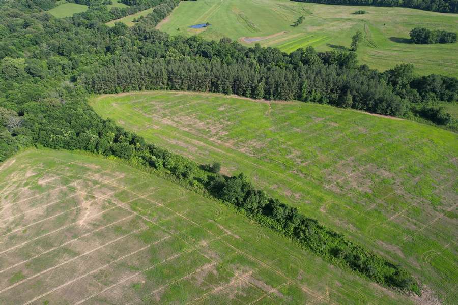 dji_fly_20260605_171554_40_1780698823946_photo.jpg
