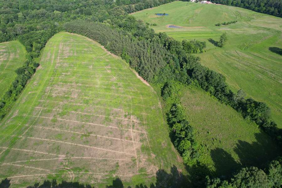 dji_fly_20260605_171616_42_1780698811996_photo.jpg