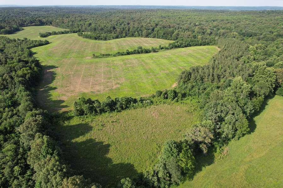 dji_fly_20260605_172100_56_1780698626706_photo.jpg