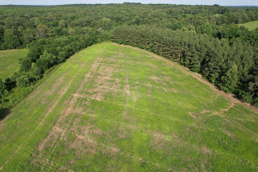 dji_fly_20260605_172124_58_1780698615407_photo.jpg