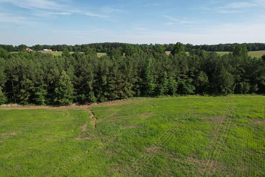 dji_fly_20260605_172134_59_1780698610562_photo.jpg