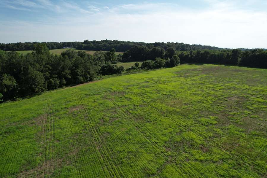 dji_fly_20260605_172136_60_1780698539578_photo.jpg