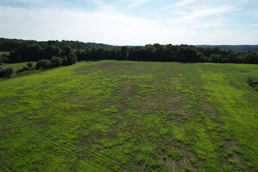 dji_fly_20260605_172140_61_1780698535682_photo.jpg