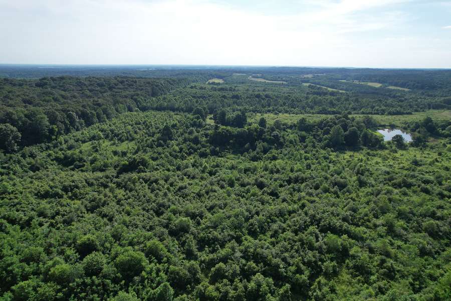 dji_fly_20260605_172212_63_1780698529504_photo.jpg